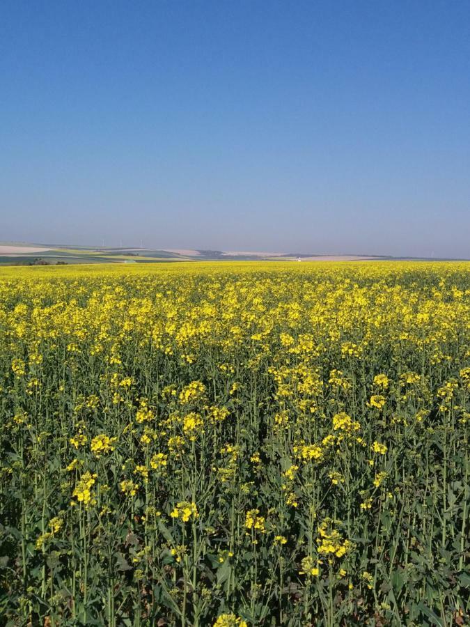 Apartmán Ferme Du Mont Moret Courdemanges Exteriér fotografie